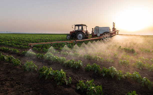 Trusted Freer, TX Pest Control Experts