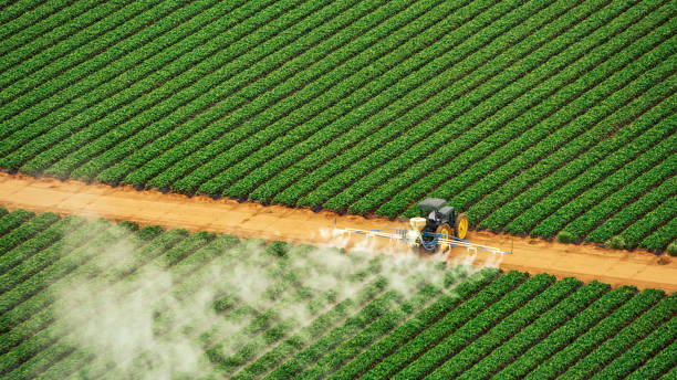 Best Pest Control for Restaurants  in Freer, TX