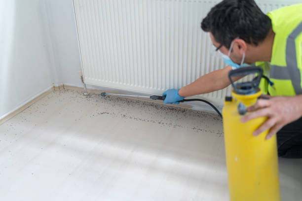 Best Pest Inspection Near Me  in Freer, TX